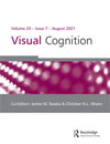 VISUAL COGNITION
