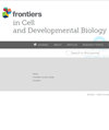 Frontiers in Cell and Developmental Biology