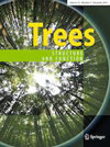 TREES-STRUCTURE AND FUNCTION