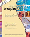 INTERNATIONAL JOURNAL OF MORPHOLOGY