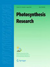 PHOTOSYNTHESIS RESEARCH