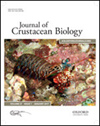 JOURNAL OF CRUSTACEAN BIOLOGY