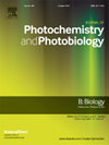 JOURNAL OF PHOTOCHEMISTRY AND PHOTOBIOLOGY B-BIOLOGY