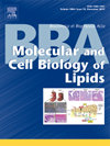 BIOCHIMICA ET BIOPHYSICA ACTA-MOLECULAR AND CELL BIOLOGY OF LIPIDS