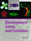 DEVELOPMENT GENES AND EVOLUTION