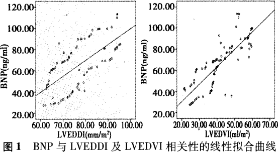 图1 BNP与LVEDDI及LVEDDI相关性的线性拟合曲线