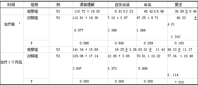 　表1两组语言功能评分比较 (分，x+s)