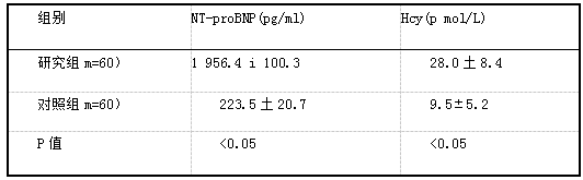 两组NT-proBNP和Hcy水平比较.png