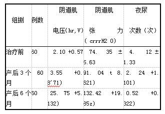 表1患者治疗前及产后3,6个月阴道肌电压、 阴道肌张力和夜尿次数比较(z±s)