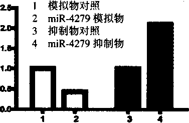 miR-4279对Glil蛋白水平的影响.png