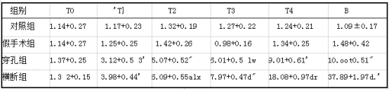 四组各个时间点PCT值(单位：ng/L，x:ts.png