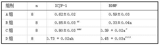 各组大鼠海马组织IGF-1、BDNF蛋白表达水平比较(互.png