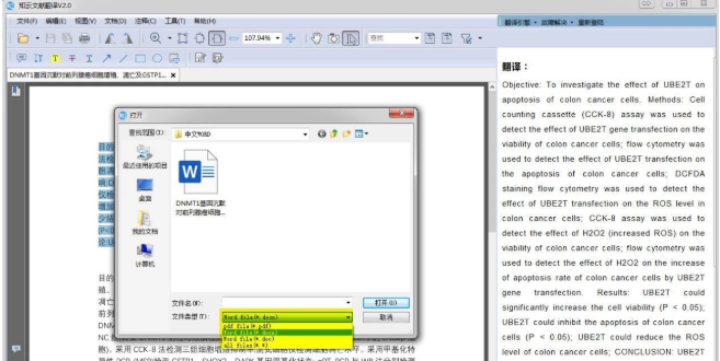英文论文翻译成中文哪个软件比较好